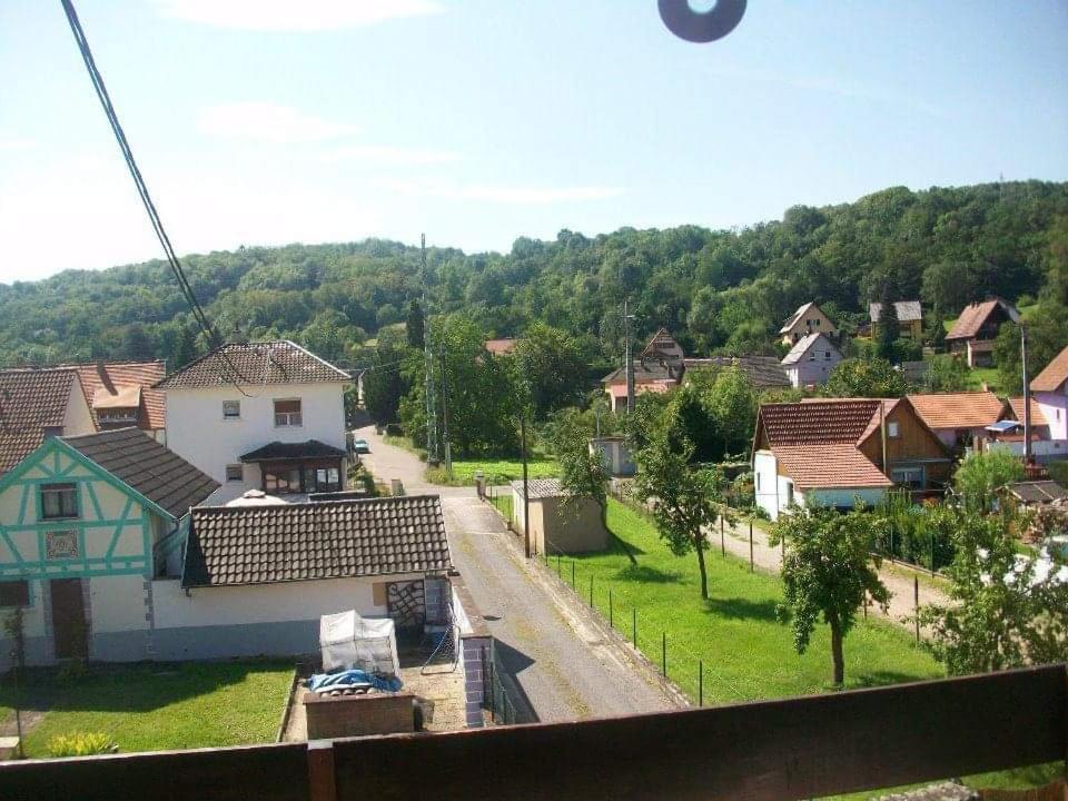 Gite Le Jardin De Hermolsheim. Alsace Tres Spacieux Mutzig Exterior photo