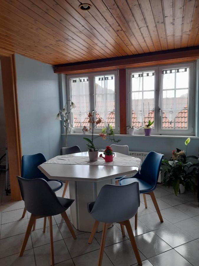 Gite Le Jardin De Hermolsheim. Alsace Tres Spacieux Mutzig Exterior photo